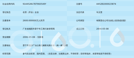 实业兴邦，共筑新篇——普宁市远嘉实业投资的战略布局与发展前景