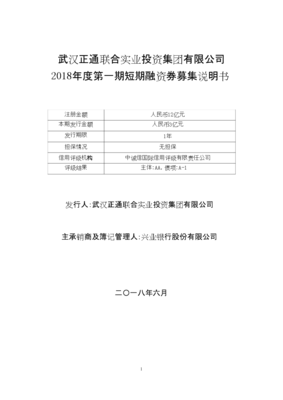 实业投资与资本市场融合 武汉正通联合2018年第一期短期融资券分析